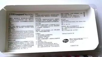 宠物可以发快递吗？？寄宠物需知：快递公司规定、注意事项一览