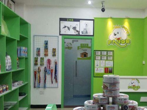 开宠物店能赚钱吗