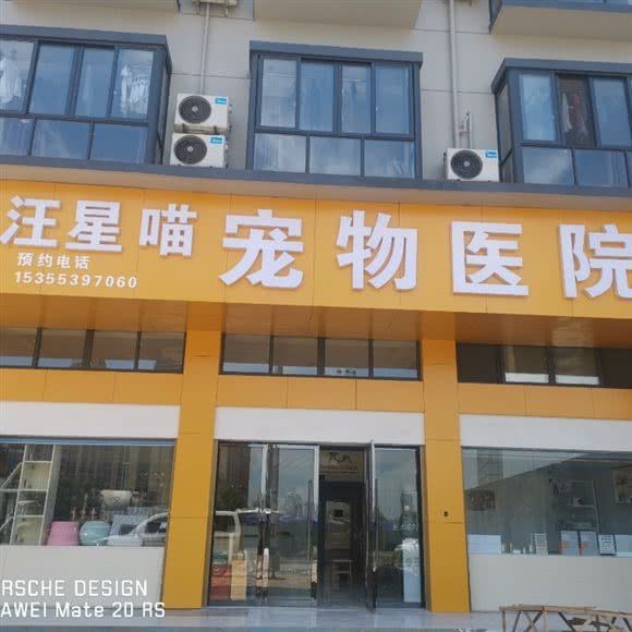 汪星喵宠物医院:金华市东阳市