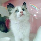 简单点