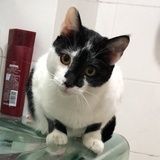 一点点点点点