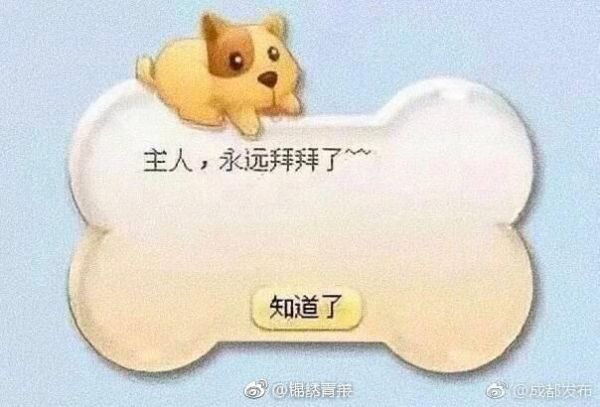 “主人，再见！” 今日起qq宠物停止运营