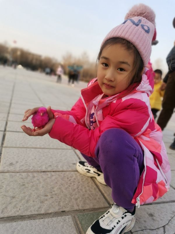 想领养一只小狗