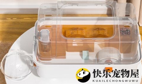 酷奇宠仓鼠笼子：小仓鼠的温馨乐园！
