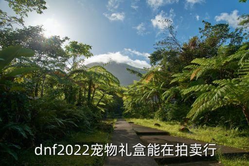  dnf2022宠物礼盒能在拍卖行
