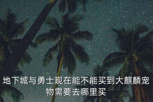 地下城与勇士现在能不能买到大麒麟宠物需要去哪里买
