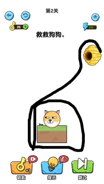 我的狗狗图片1