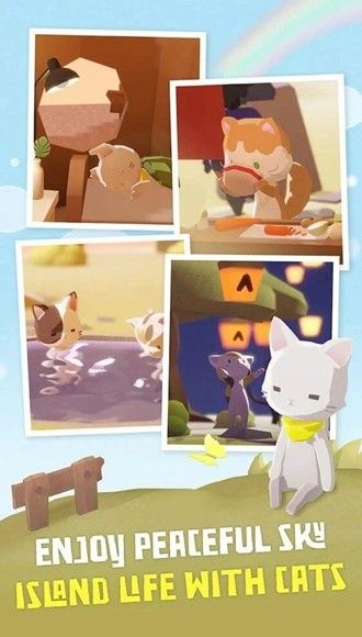 亲爱的我的猫咪图片4