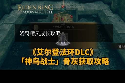 洛奇精灵成长攻略