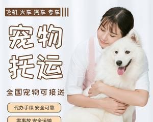 探讨宠物快递中猫咪是否适合寄送（了解猫咪快递的注意事项和安全保障）