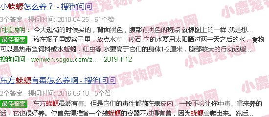 养蝾螈水深好还是水浅好