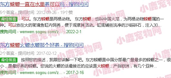 火蝾螈能一直养在水里吗