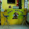 酷迪(光彩路店)宠物寄养
