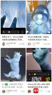 iPhone能否检查宠物身上的虫子