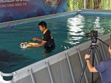天津13年宠物乐园宠物寄养,训练