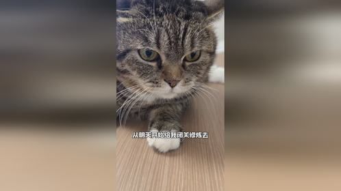 我还有个大招叫九阴白骨爪，要不要试试