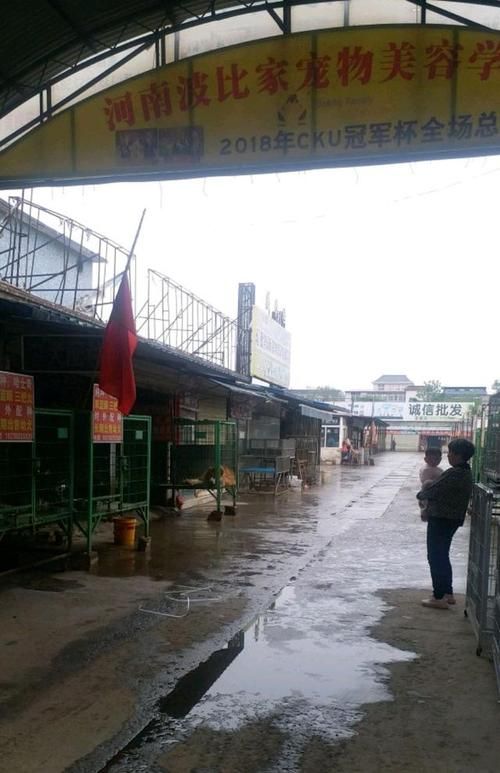 广州哪里有宠物粮食批发市场啊多少钱（广州哪里有宠物粮食批发市场啊多少钱一个）