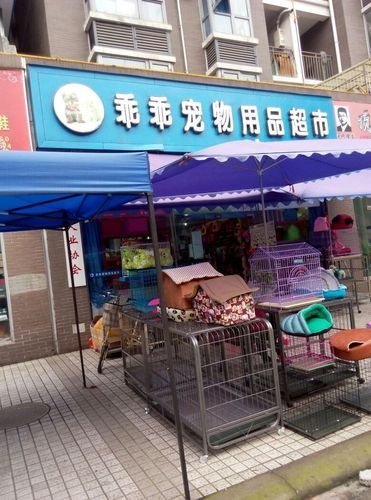 广州哪里有宠物用品批发市场（广州最大的宠物用品超市）