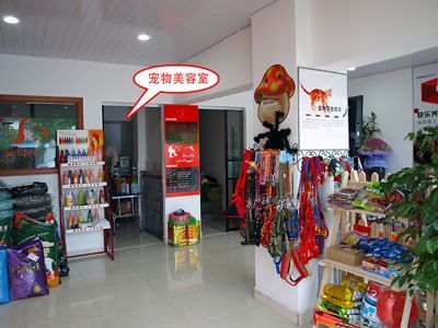 广州宠物用品批发进货渠道电话（广州宠物用品批发市场在哪里进货）
