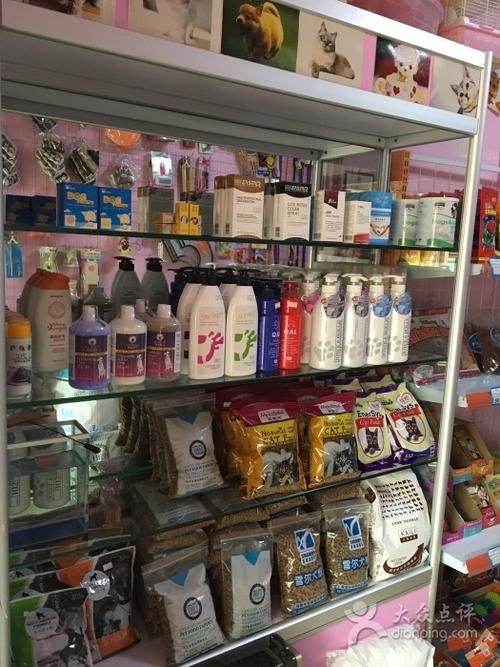 广州宠物用品批发进货渠道电话（广州宠物用品批发市场在哪里进货）