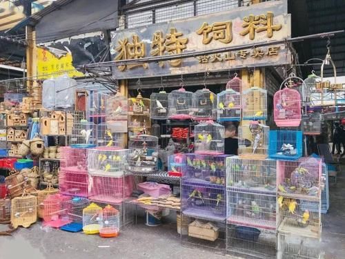 广州宠物饲料批发市场地址查询（广州宠物饲料加工厂）