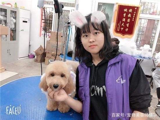上海专业的宠物美容师必须经过正规培训吗