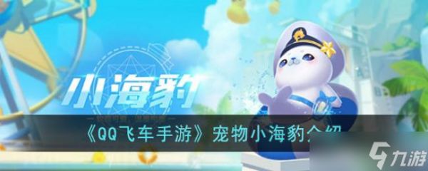 QQ飞车手游宠物小海豹介绍