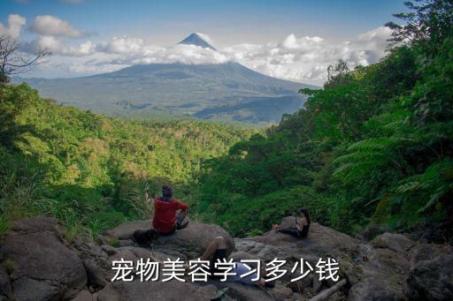 宠物美容学习多少钱