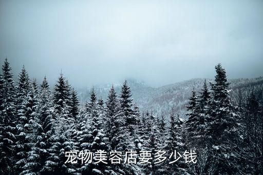 宠物美容店要多少钱