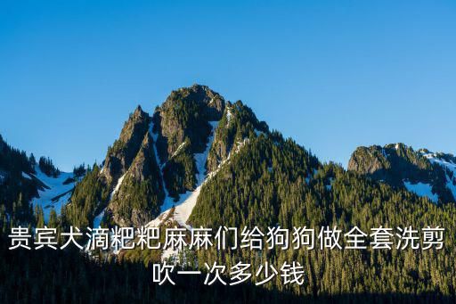 贵宾犬滴粑粑麻麻们给狗狗做全套洗剪吹一次多少钱