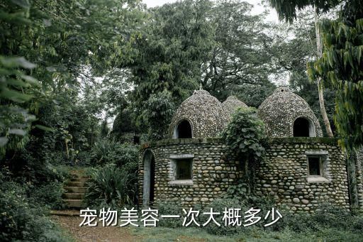 宠物美容一次大概多少