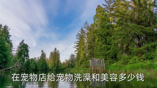 在宠物店给宠物洗澡和美容多少钱
