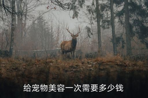 给宠物美容一次需要多少钱