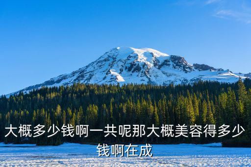 大概多少钱啊一共呢那大概美容得多少钱啊在成