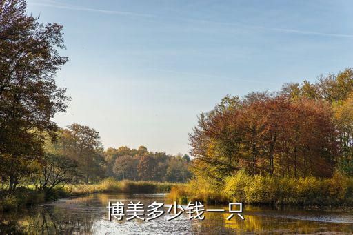 博美多少钱一只