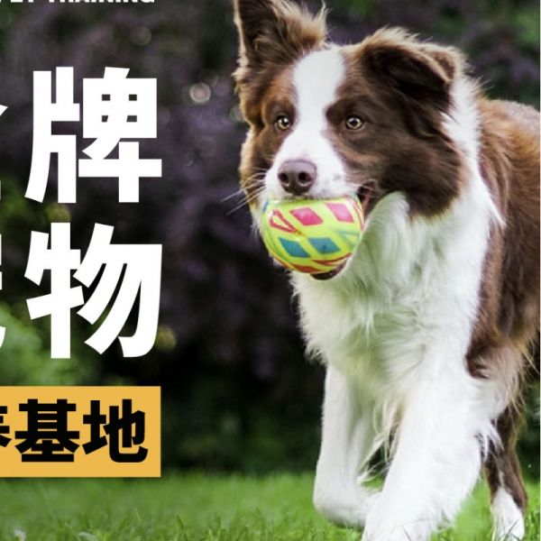 店主头像