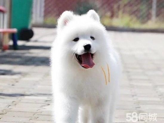 店主头像