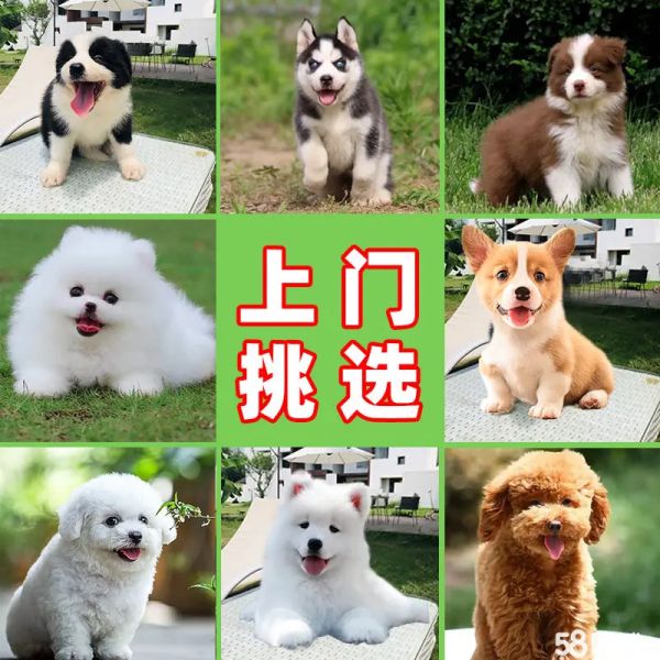 店主头像