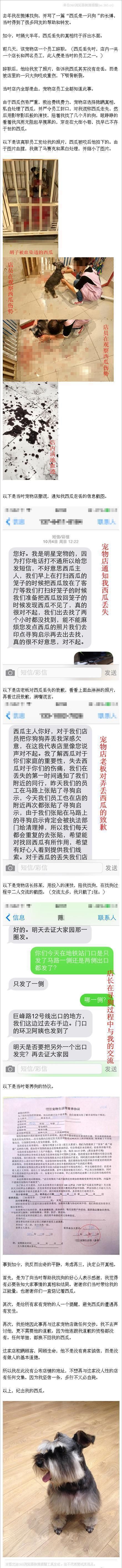 宠物寄养却被咬死! 宠物店主却这样对我说, 还陪我寻狗大半年