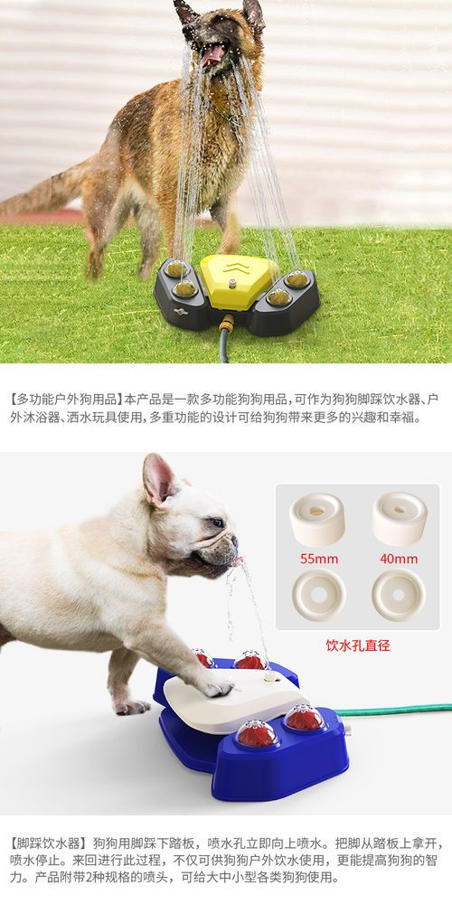 宠物用品出口：如何开拓海外市场？宠物用品出口前十大目的地国家介绍