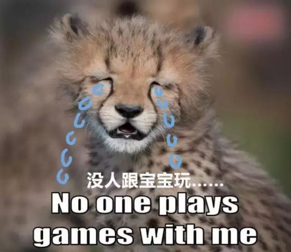 猎豹天生胆小又害羞，动物园决定派狗狗拯救它的自信心！