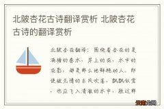 北陂杏花古诗翻译赏析 北陂杏花古诗的翻译赏析