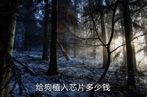 给狗植入芯片多少钱