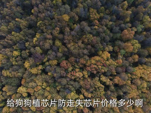 给狗狗植芯片防走失芯片价格多少啊