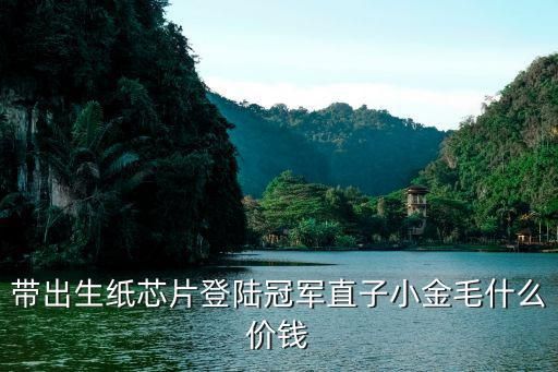 带出生纸芯片登陆冠军直子小金毛什么价钱