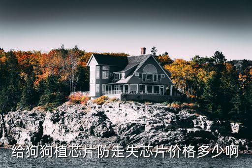 给狗狗植芯片防走失芯片价格多少啊