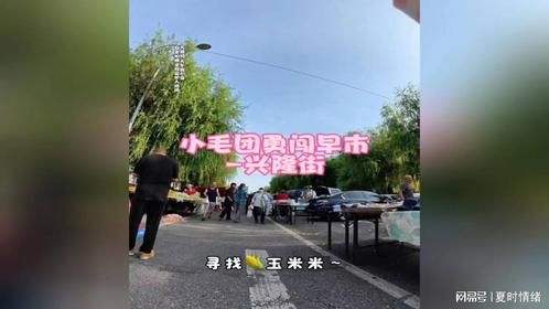 小毛团逛早市买了一只螃蟹当宠物！