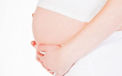 怀孕养宠物 怀孕不能养宠物 怀孕可以养宠物吗