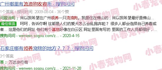 流浪狗收养基地