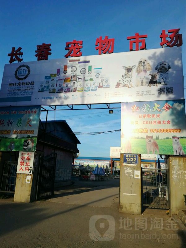 长春新月宠物市场
